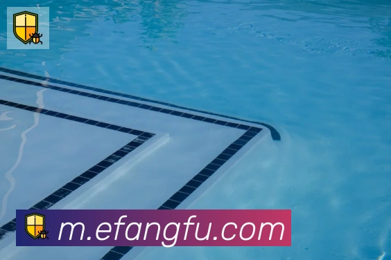 云开全站app登录网页入口荣誉