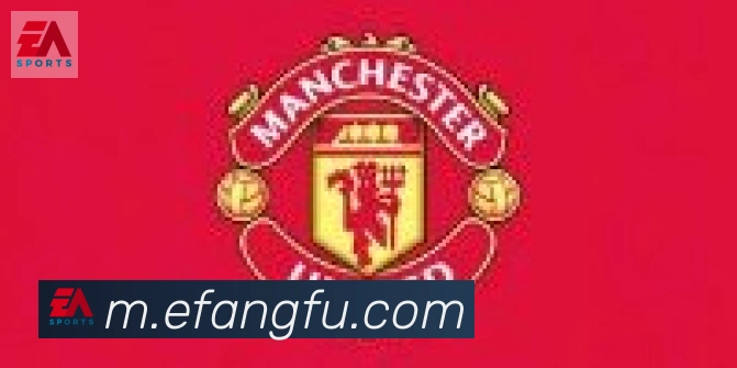 云开全站app登录网页入口合作伙伴